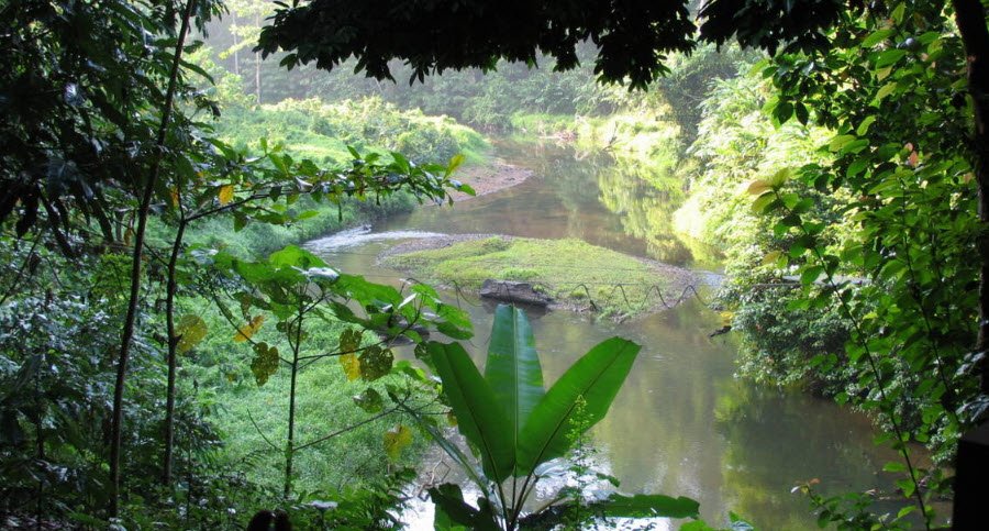 Sriwijaya Botanical Garden, Indonesia, Indonesia